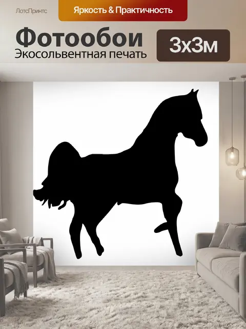 Фотообои Верховая силуэт 2