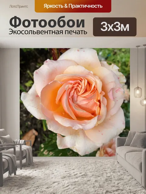 Фотообои Роза