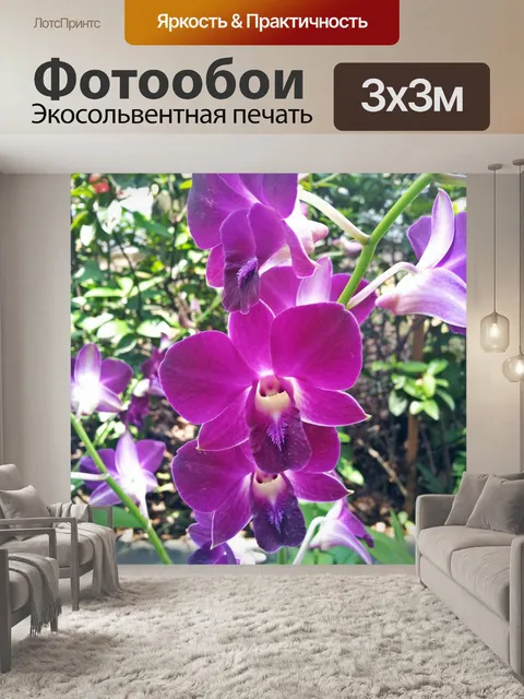 Фотообои Фиолетовый цветок орхидеи