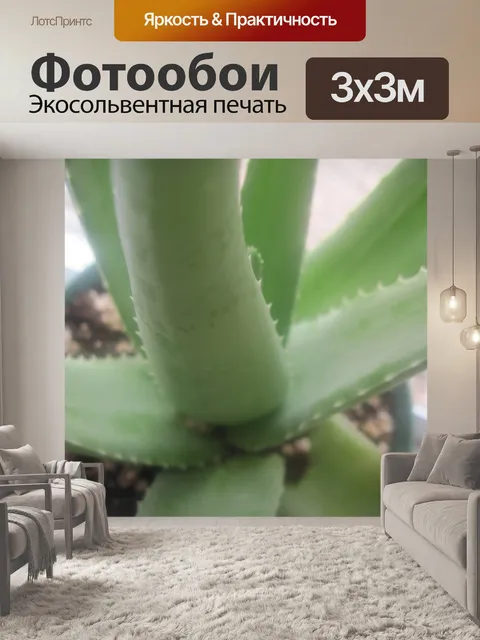 Фотообои Алоэ Вера завод A2
