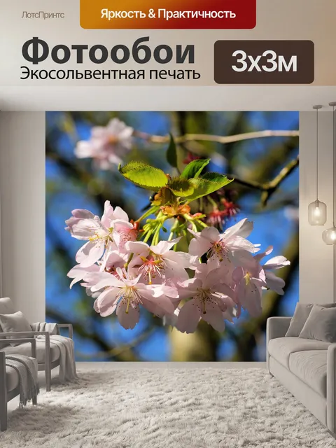 Фотообои Расцветает