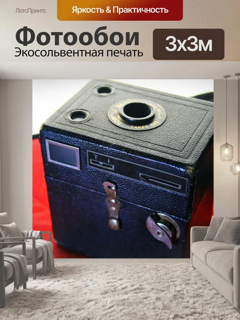 Фотообои Домовой камеры