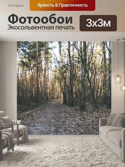 Фотообои Дорога в лесу