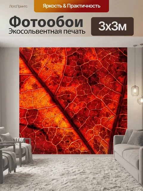 Фотообои Осенняя листва лист макросъемка