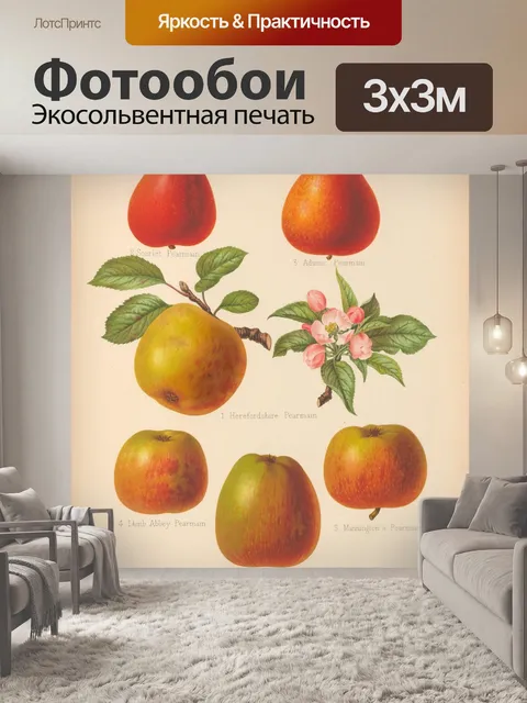 Фотообои Яблоки фрукты винтажные