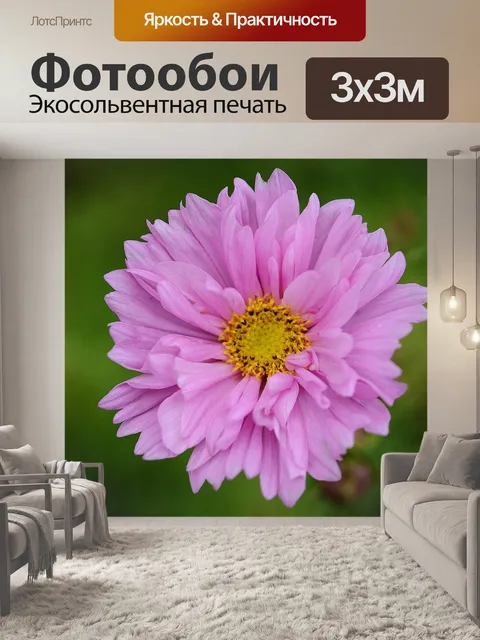 Фотообои Розовый цветок