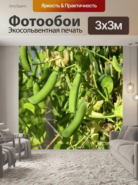 Фотообои Горошек