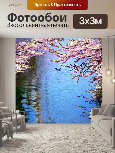 Фотообои сакура, отражающаяся в спокойной воде пруда, где нежные цветы образуют живописные круги на поверхности
