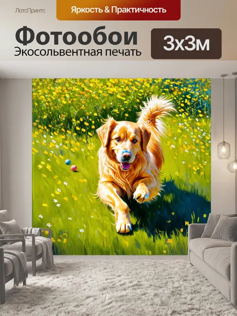 Фотообои в солнечный день золотистый ретривер, играющий на зелёном лугу, ловит мячик