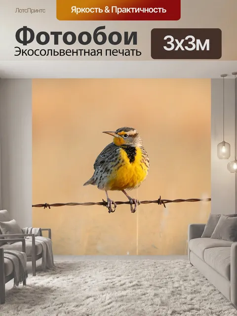 Фотообои Восточный луговой жаворонок