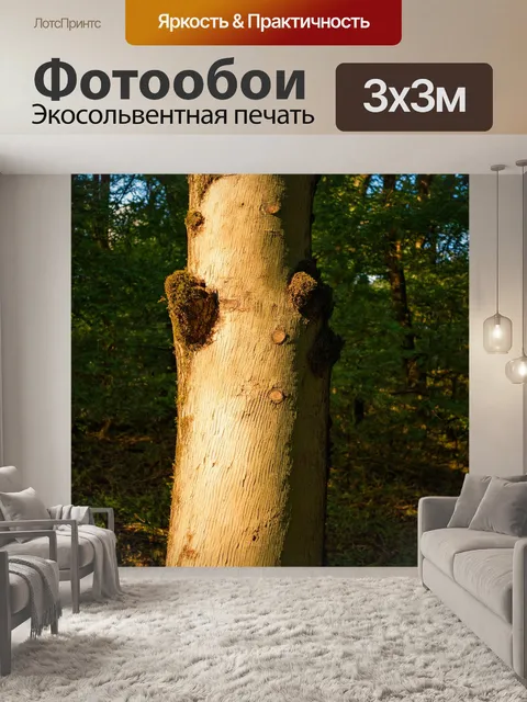 Фотообои дерево с бежевым корой, выделяющееся на фоне густого зеленого леса