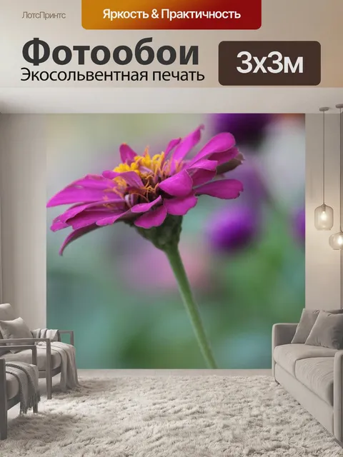 Фотообои Цветок