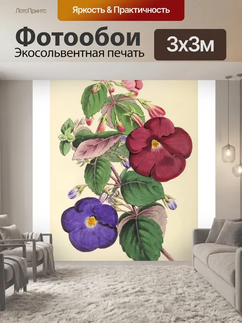 Фотообои Искусство иллюстрации садовых цветов