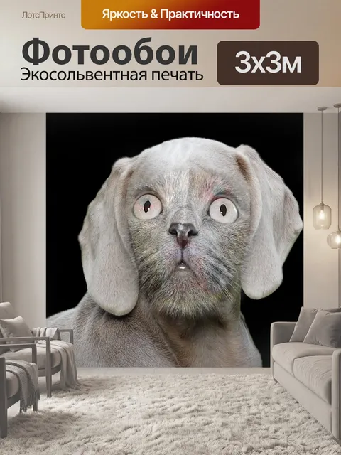 Фотообои Собака