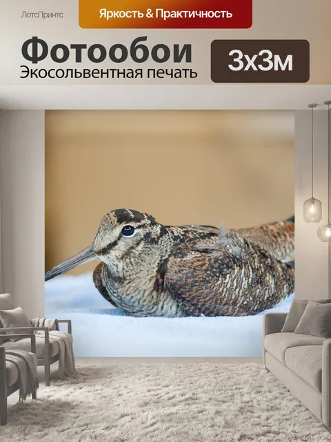 Фотообои Дикая природа