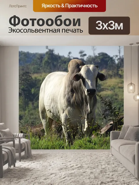 Фотообои Корова