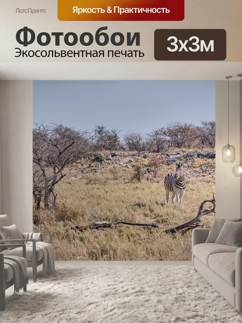 Фотообои Зебра