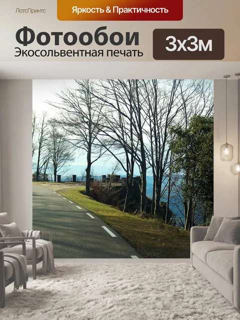 Фотообои Шоссе