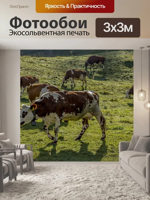 Фотообои Альпийская дойная корова
