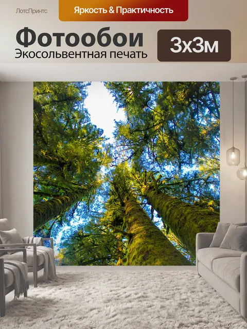 Фотообои Деревья