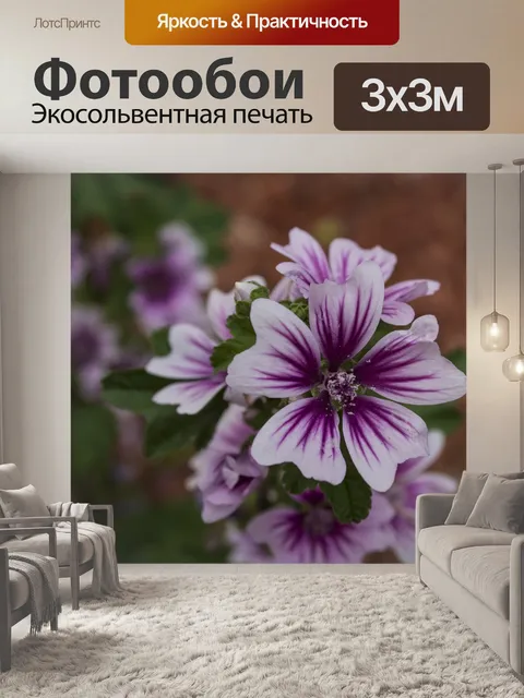 Фотообои Фиолетовый