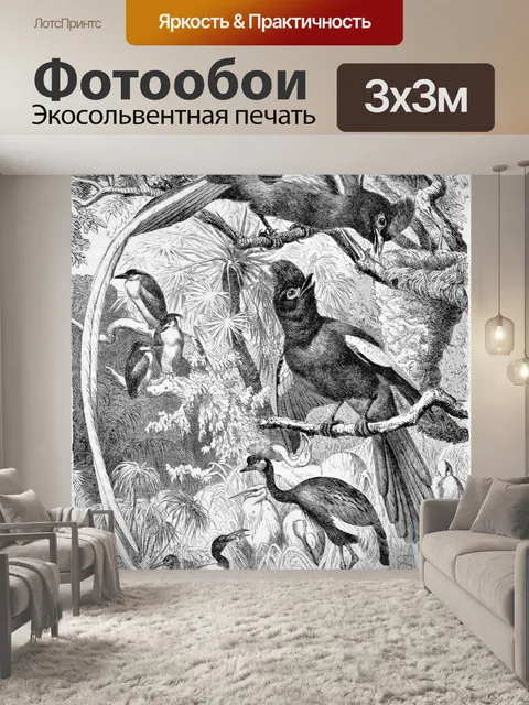 Фотообои Райские мухоловки