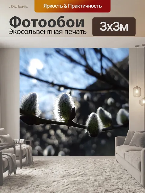 Фотообои Цветок