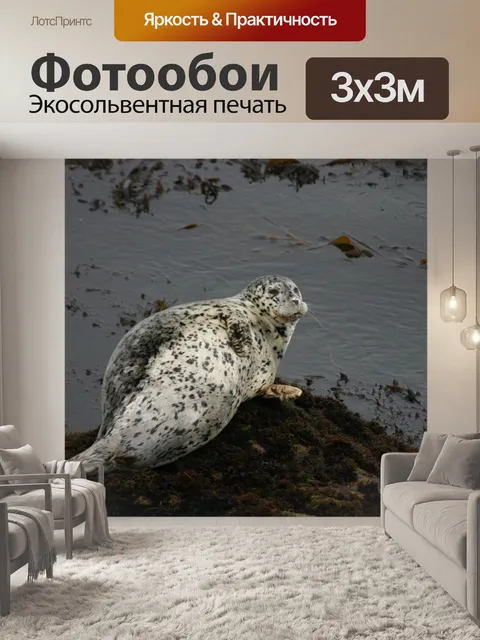 Фотообои Океан