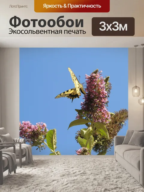 Фотообои Бабочка