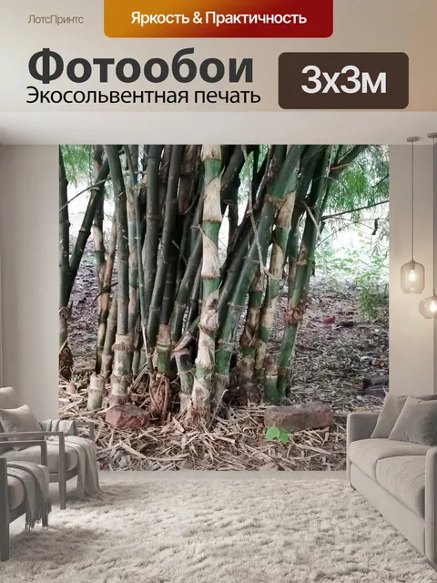 Фотообои бамбуковое дерево