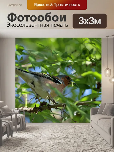 Фотообои Птицы