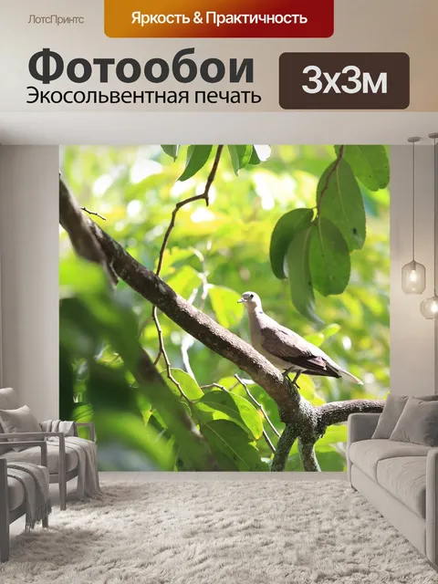 Фотообои Птица