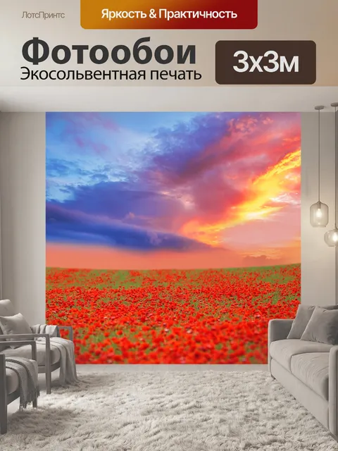 Фотообои Маки поле небо пейзаж