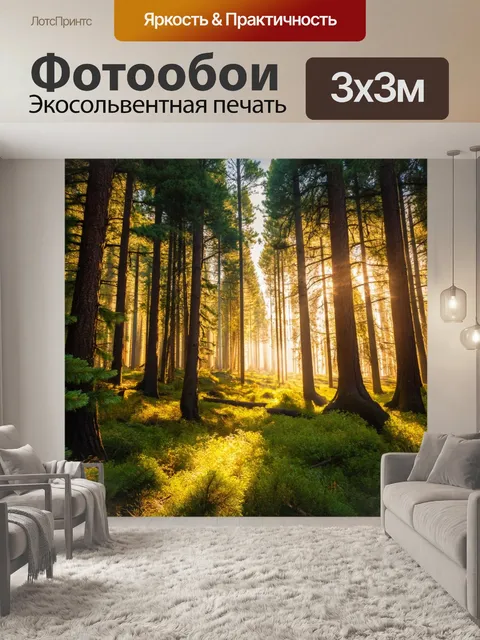 Фотообои лето в сосновом лесу
