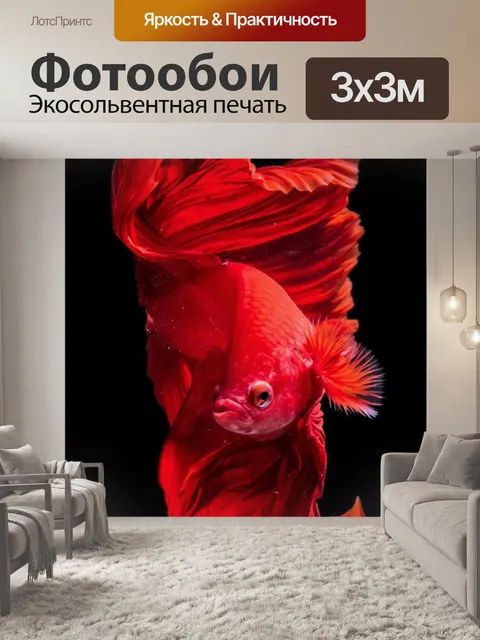 Фотообои Карп