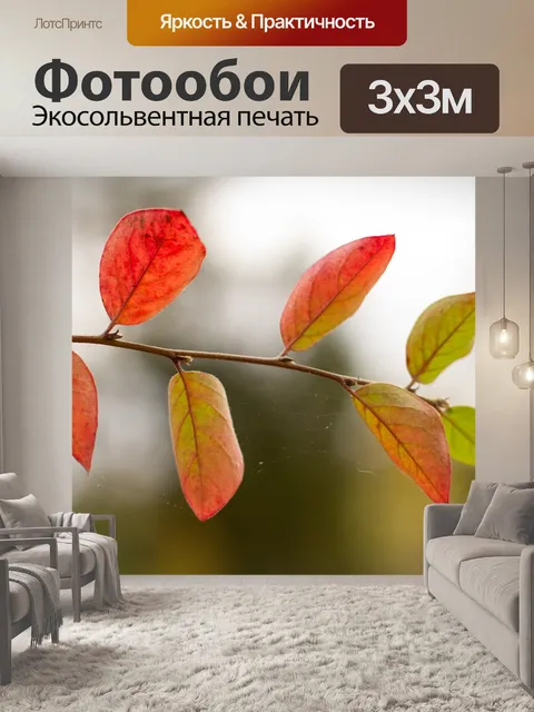 Фотообои Осень