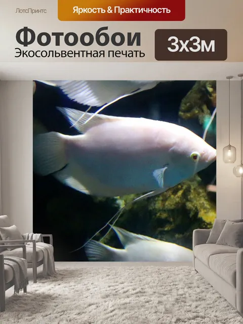 Фотообои Аквариум с рыбками в Срисакете, Таиланд