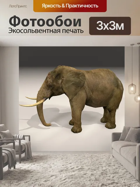 Фотообои слон