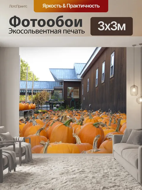 Фотообои Тыквы для продажи