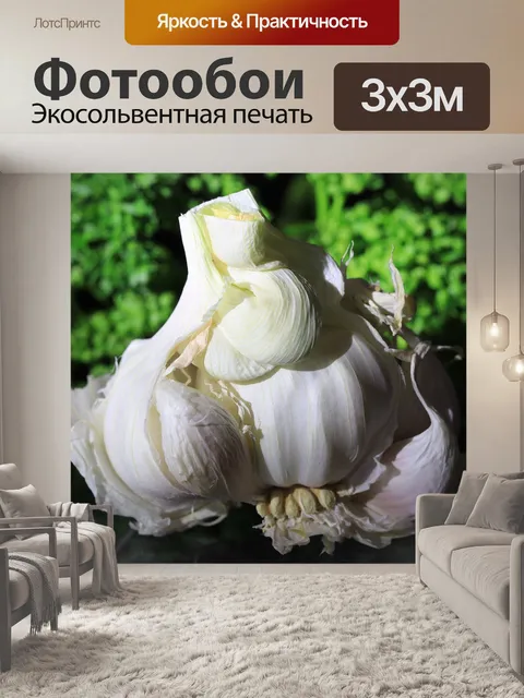 Фотообои Чеснок