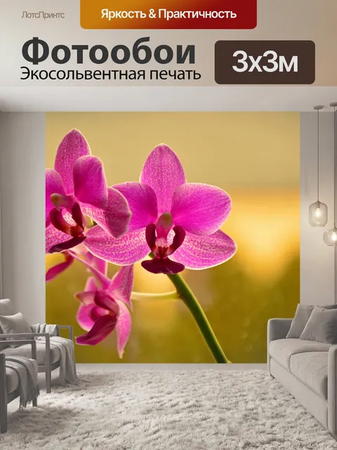 Фотообои Орхидея