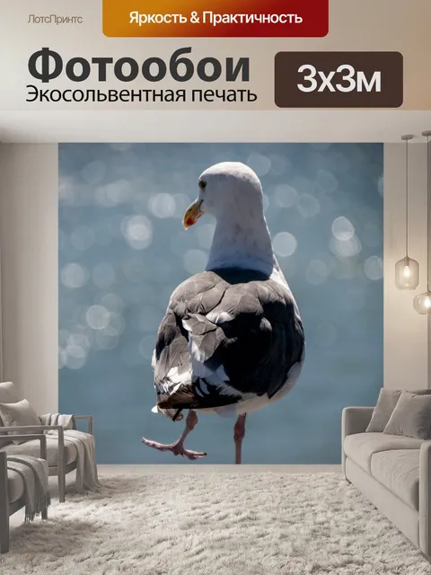 Фотообои чайка