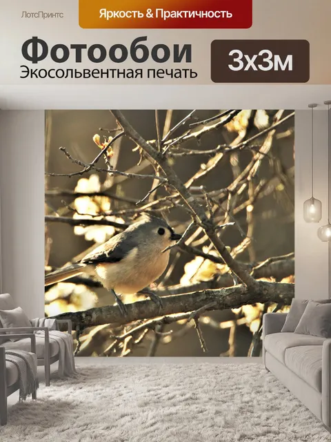 Фотообои Хохлатая синица и дерево цветет