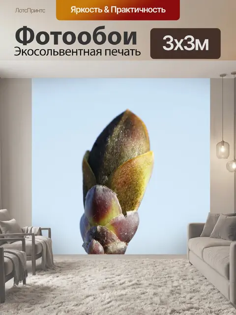 Фотообои Весна