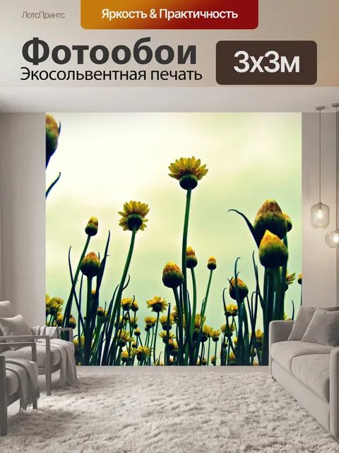 Фотообои Бумага маргаритки