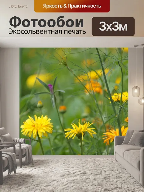 Фотообои Бархатцы сад цветет апельсин