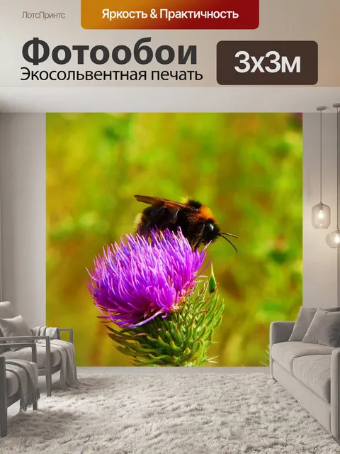 Фотообои Шмель газ