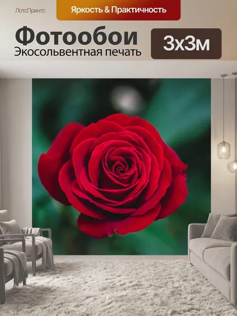 Фотообои Красный