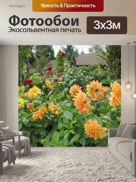 Фотообои желтые и красные цветы