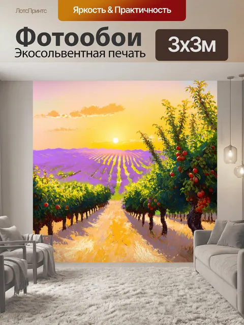 Фотообои прованс показывают утренний рассвет